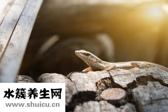 小圓臉適合什么發(fā)型