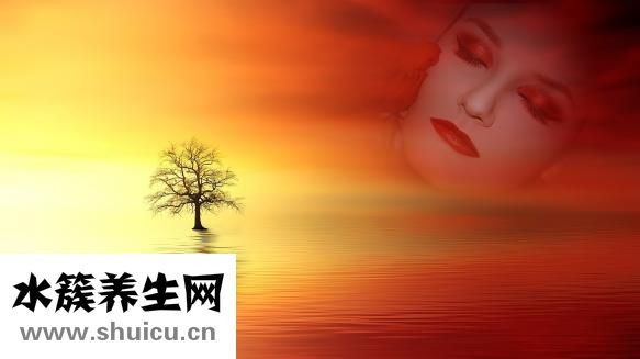 老年人吃什么補鈣