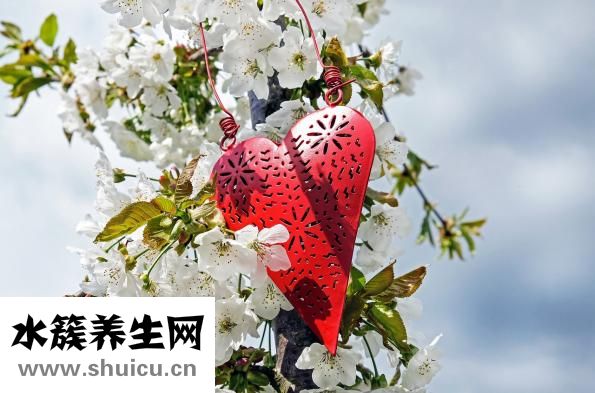 心動過速怎么辦