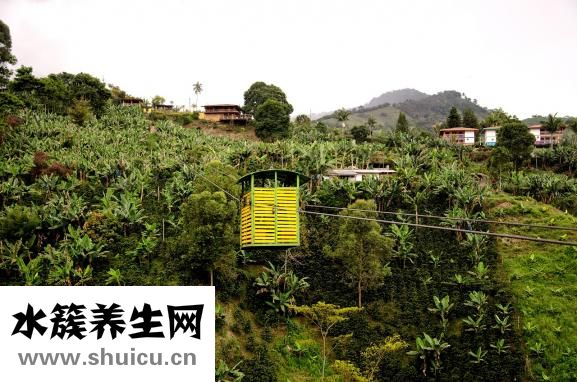 毛發(fā)種植哪里有