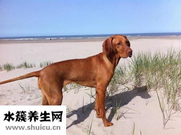 運動后多久喝水