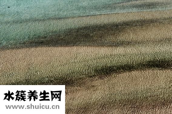 黑人牙膏怎么樣