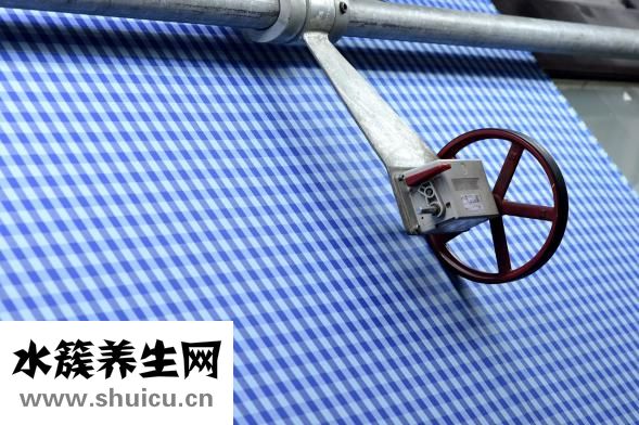 失眠多夢(mèng)吃什么好