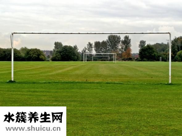 韓新鳴整鼻頭怎么樣