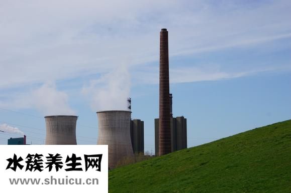 失眠多夢(mèng)吃什么好