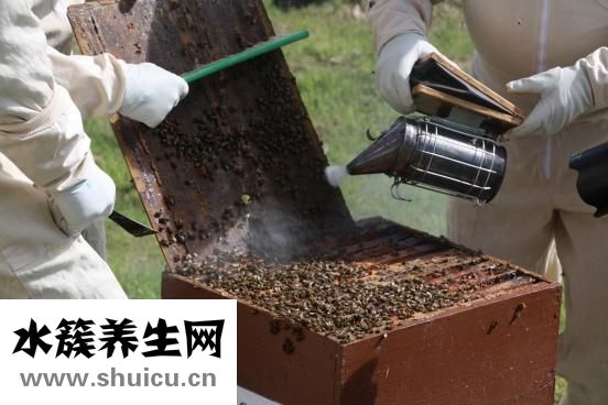 戒煙有什么好方法