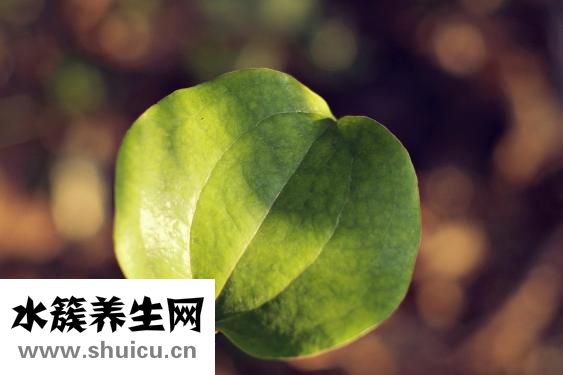 延時濕巾效果怎么樣