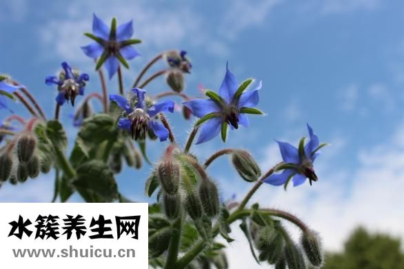 喝奶粉上火怎么辦