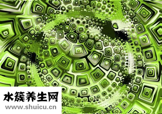 魔法豐胸怎么樣