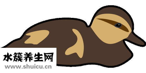 如何預(yù)防禽流感