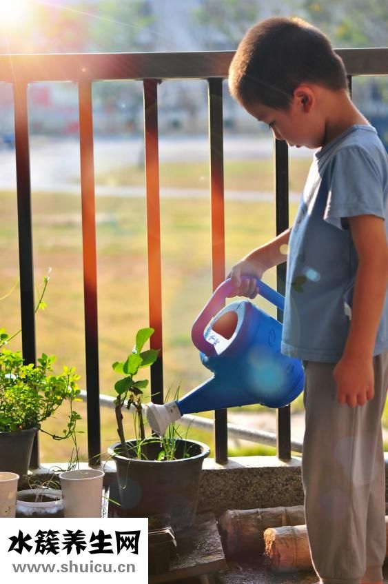親子智力畫刊怎么樣
