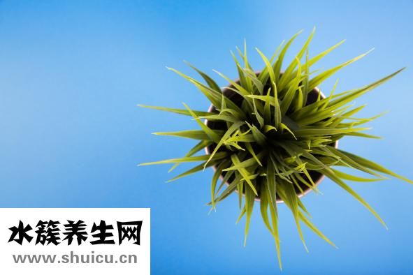 怎么樣看指甲的人