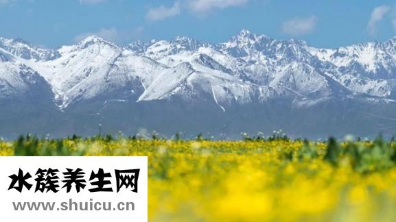 立春是什么時候