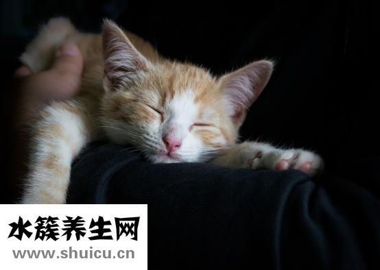 紅血絲怎么修復(fù)