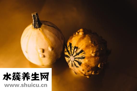 哺育的近義詞是什么