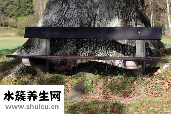 高考落榜上什么學校