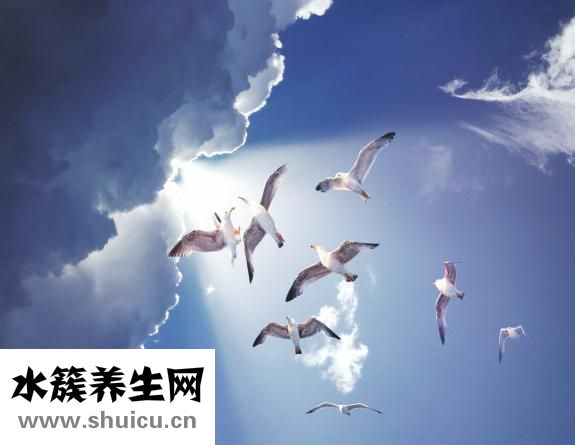 久久理財怎么樣