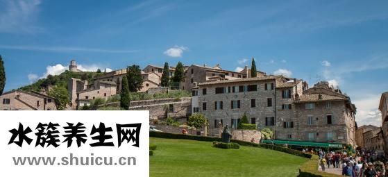 丹戈迪亞男裝怎么樣