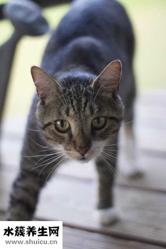 怎么樣才算般配