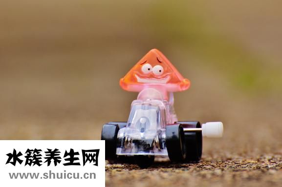 如何增強孩子抵抗力