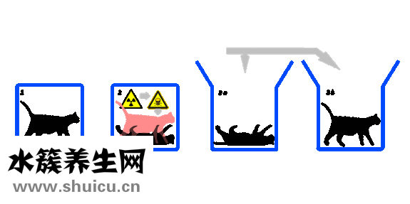 怎么樣紅燒雞爪