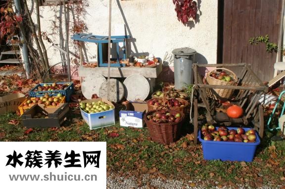 冰糖燉梨怎么做