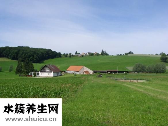 如何控制飲食減肥