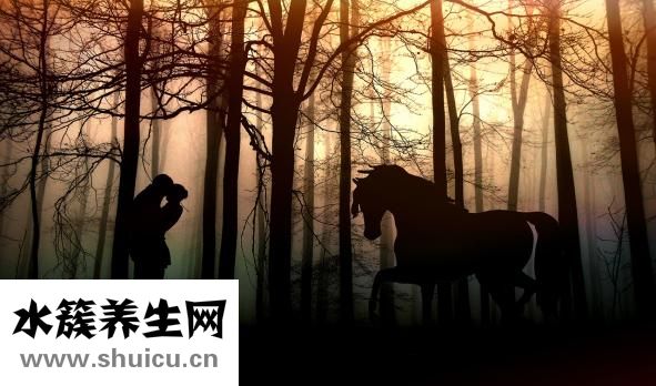 何潔為什么離婚