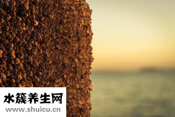 怎么樣長多頭發(fā)