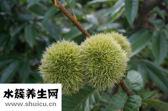 寶寶拉肚子了怎么辦