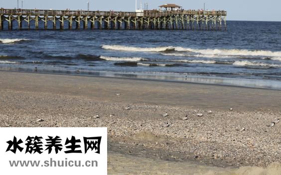 男生剪什么發型