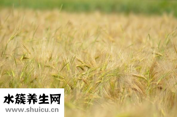 冬至什么時(shí)候