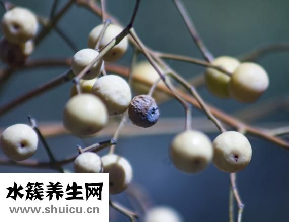 抑郁癥想死怎么辦