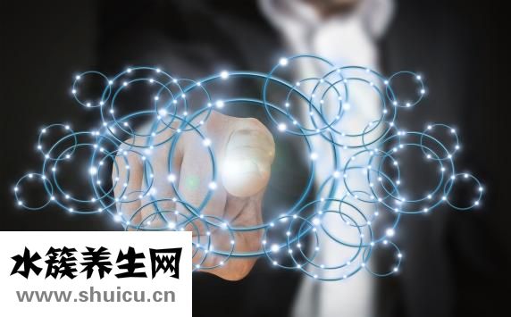 項(xiàng)羽是哪個(gè)朝代的