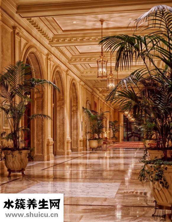 項(xiàng)羽是哪個(gè)朝代的