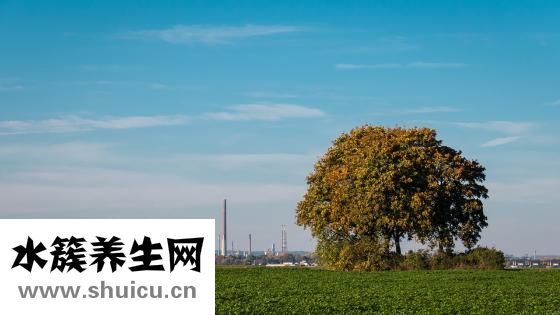 什么叫環(huán)境