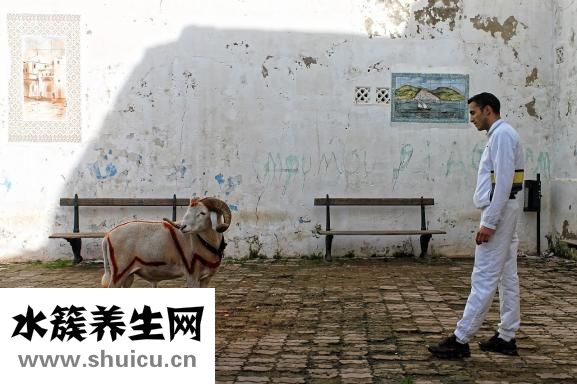寧夏男人怎么樣