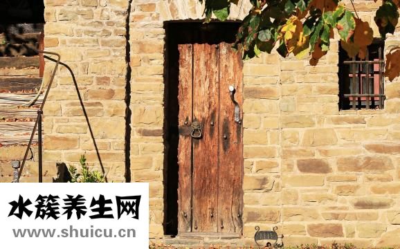 地溝油是什么做的