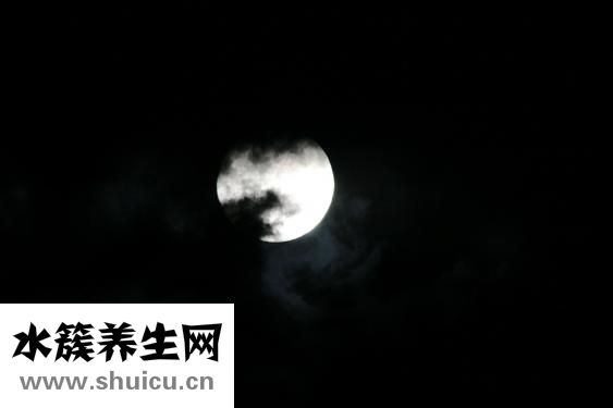 什么是無期徒刑