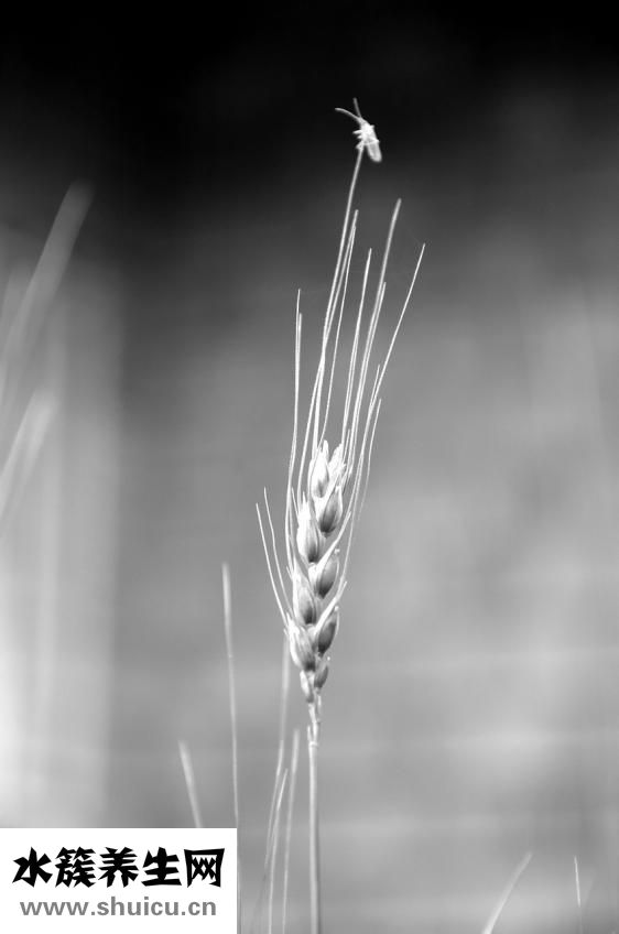 內衣穿大了會怎么樣