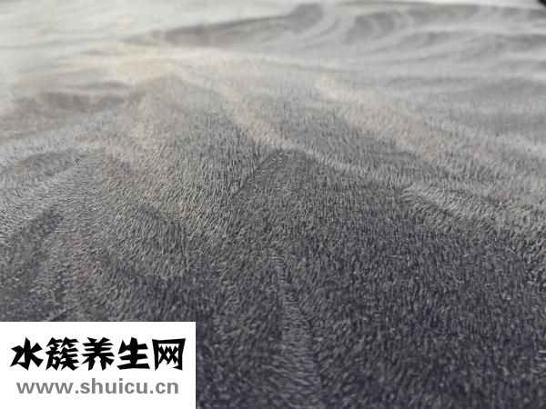 蜂膠祛疤凝膠怎么樣