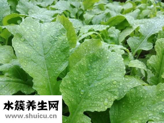 孕婦怎么保養皮膚