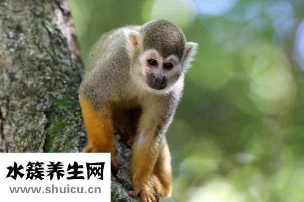 被狗狗咬了怎么辦