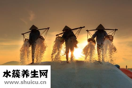 衛(wèi)衣搭配什么褲子