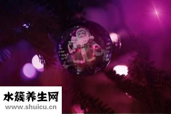 紅牡丹家紡怎么樣