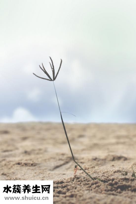 教你如何扎頭發