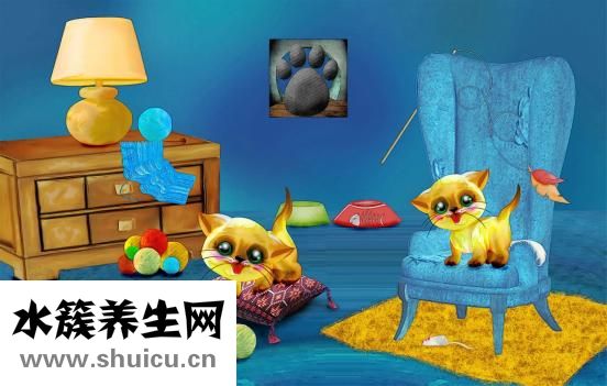 從頭開始生發怎么樣