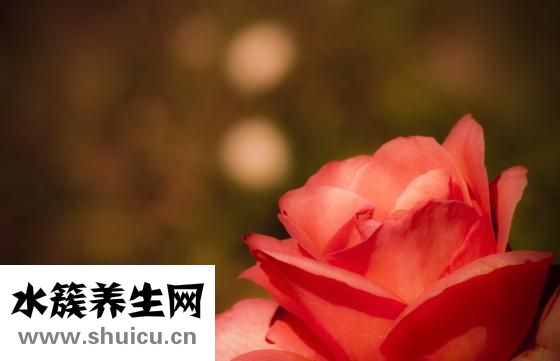 如何給寶寶取名