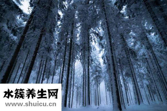 大宋御河怎么樣