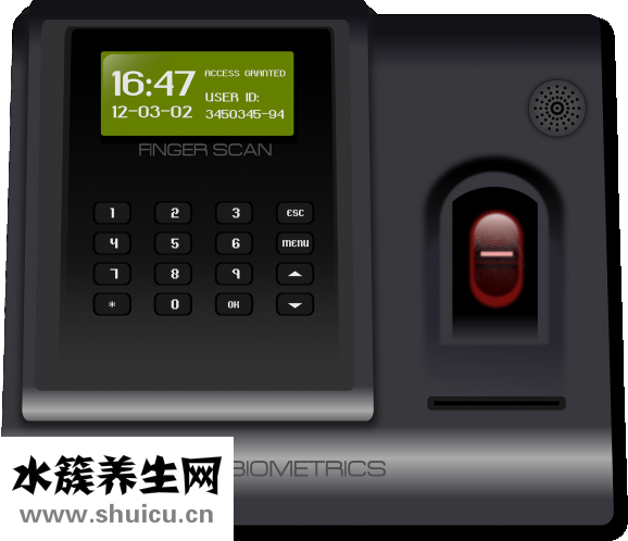 美裕珍珠怎么樣